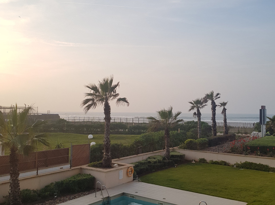 佩斯塔纳卡萨布兰卡主图