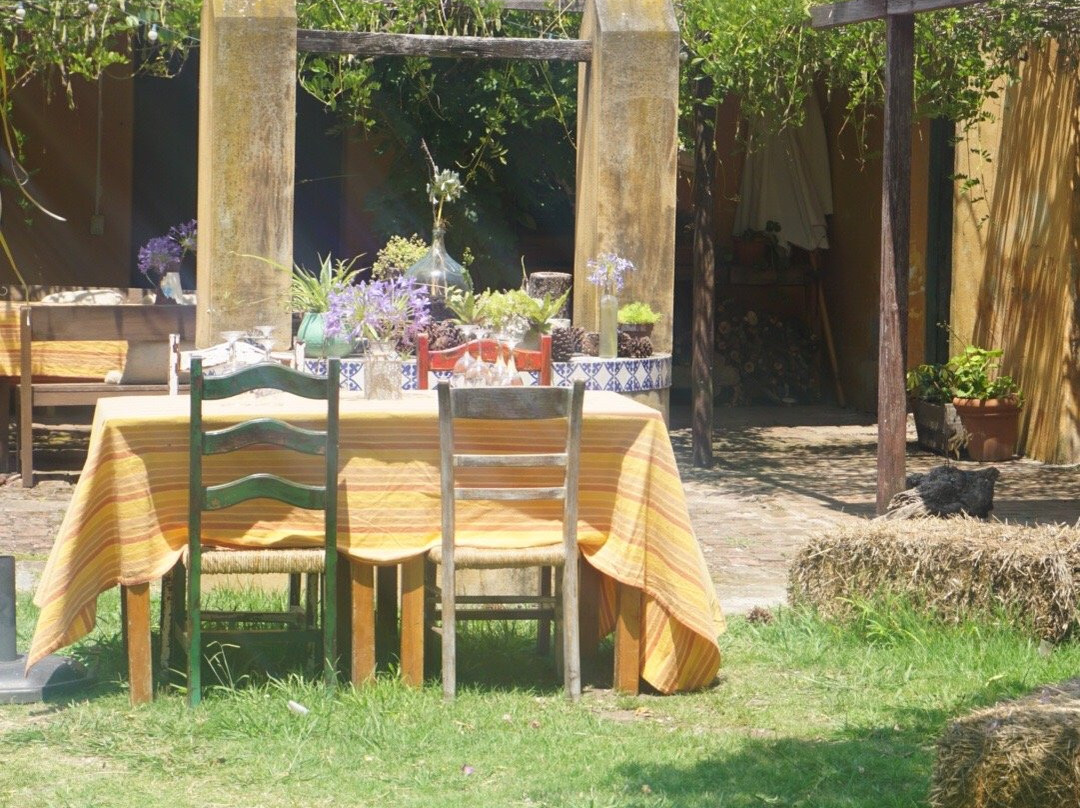 Bodega Campo Tinto-Carmelo必去景点