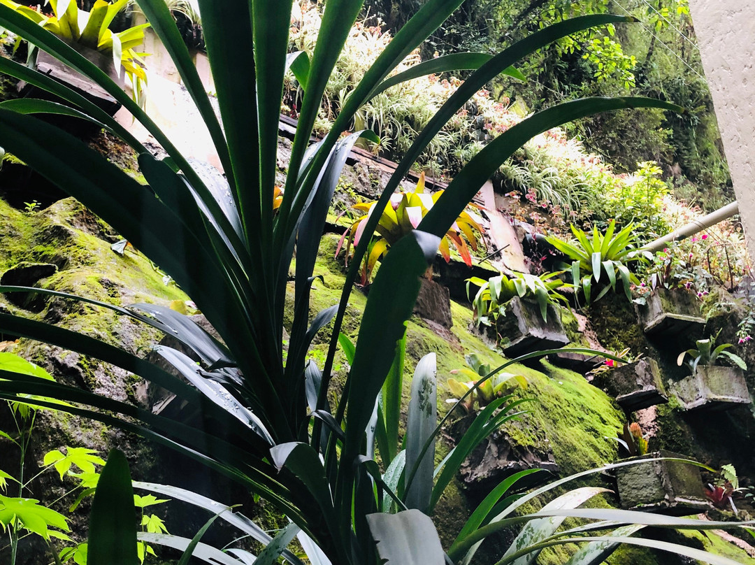 马丘比丘苏马哥酒店主图