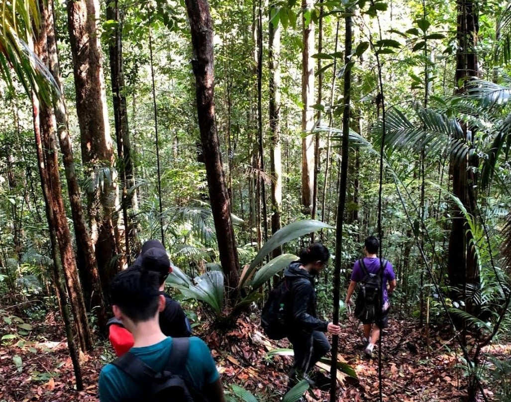 Gunung Muntahak景点图片