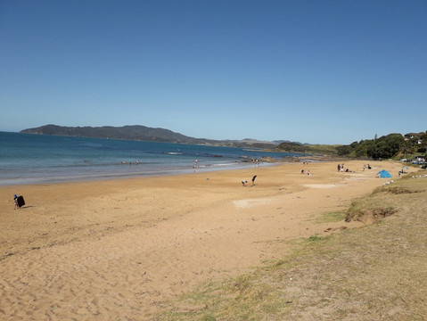 Te Ngaere旅游攻略图片