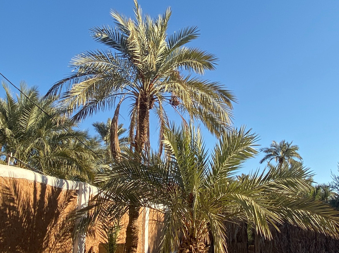 Maison D’hôtes Taskift主图