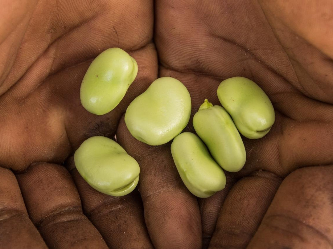 Ergsmar-迈哈米德必去景点