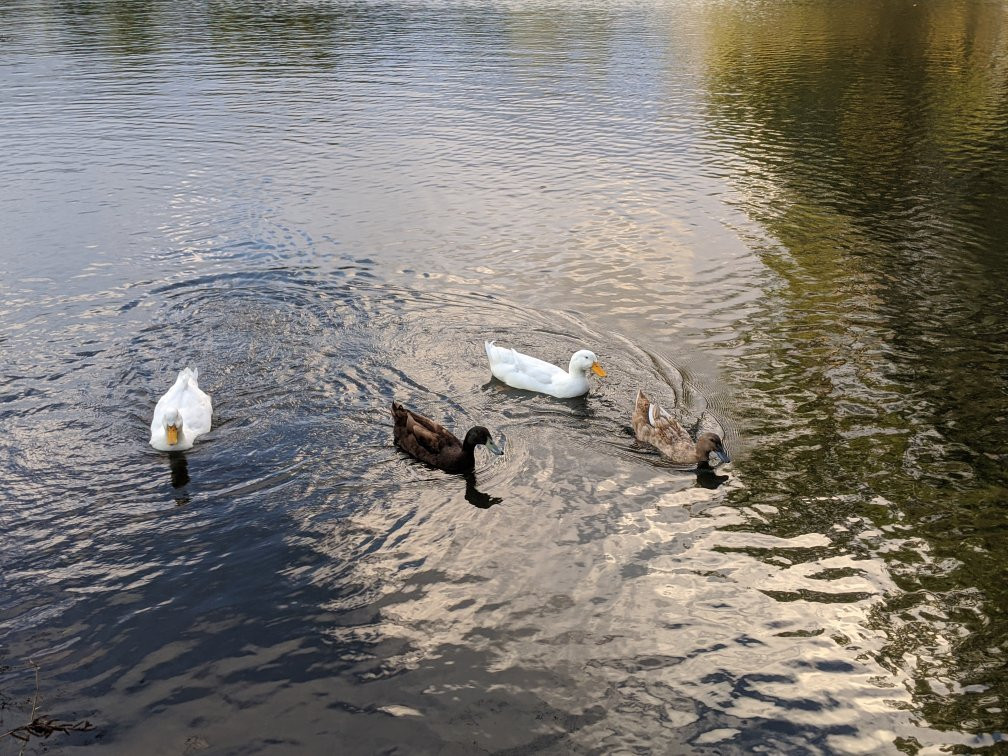 General Coffee State Park-Nicholls必去景点