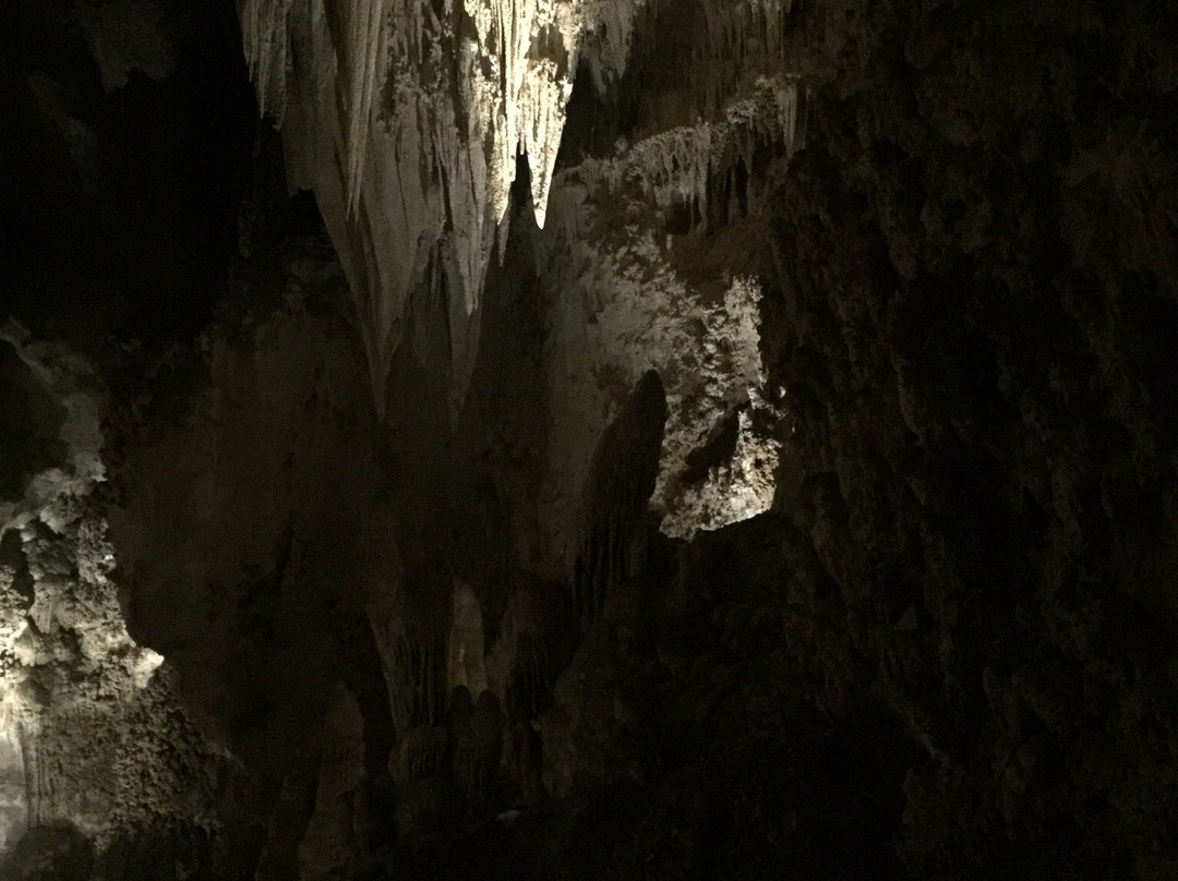 King's Palace-卡尔斯巴德洞穴国家公园必去景点