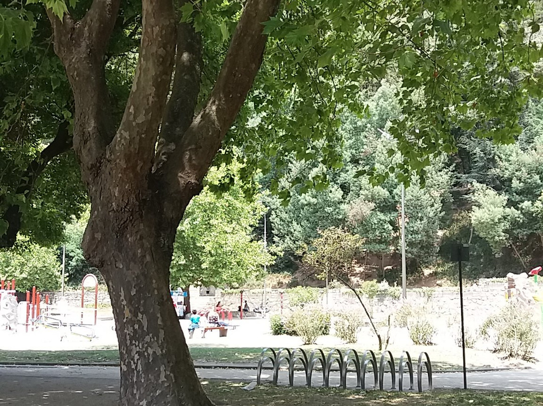 Parque Ecuador-康塞普西翁必去景点