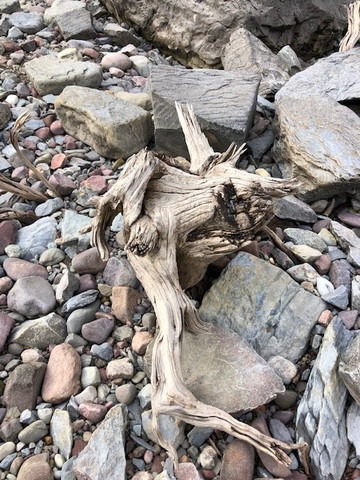 Big Arm State Park-Big Arm必去景点