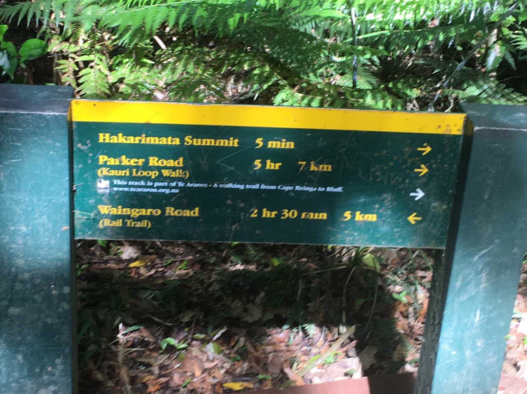 Kauri Loop Track景点图片