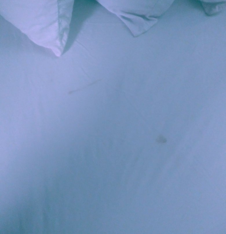 Extended Stay Airport主图