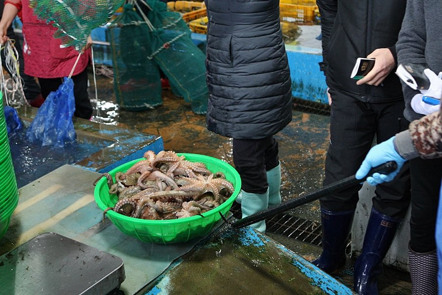 Nokdong Port-高兴郡必去景点