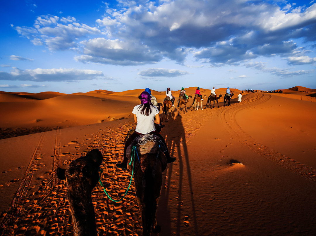 Fez City Tour-非斯必去景点