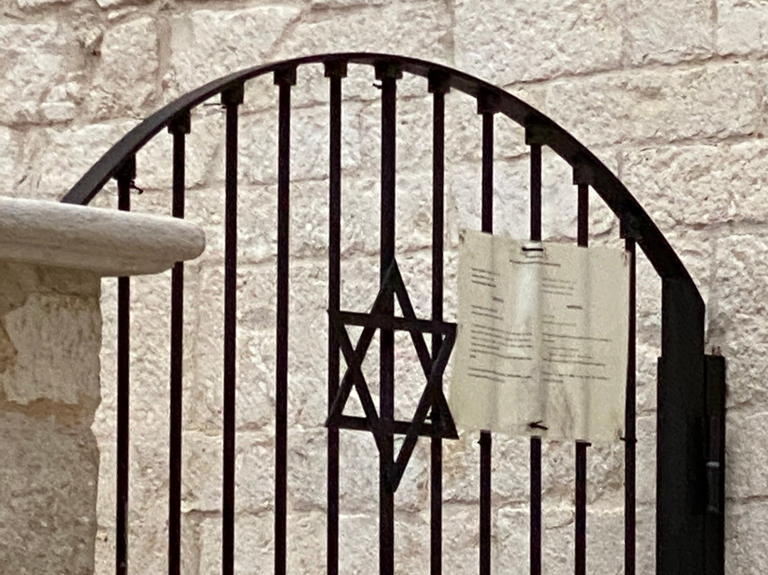 Synagogue Scolanova-特拉尼必去景点
