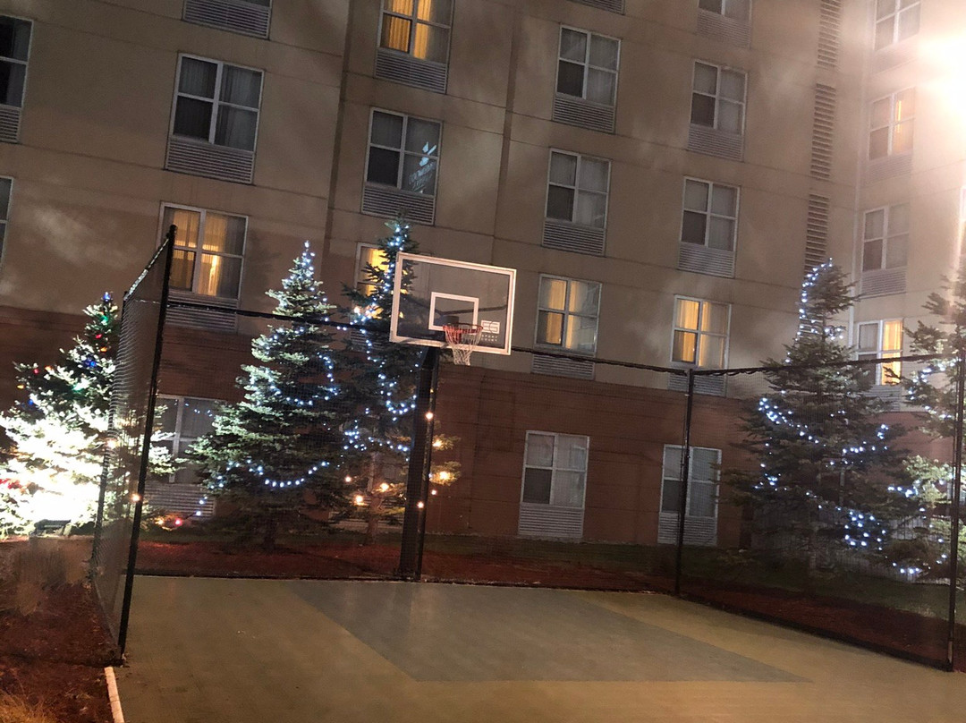 多伦多密西沙加希尔顿惠庭套房酒店主图