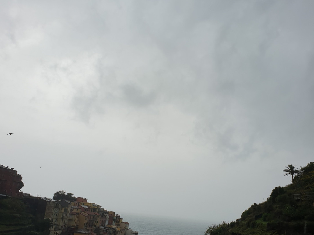 Borgo Storico di Manarola景点图片