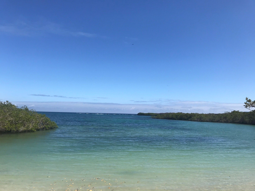 Playa de los Alemanes景点图片