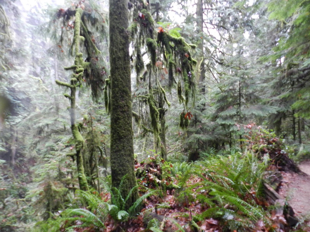 Burnett Falls Park-Sechelt必去景点