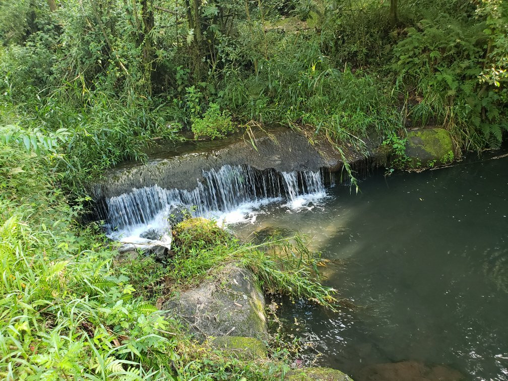 Makaleha Falls Trail景点图片