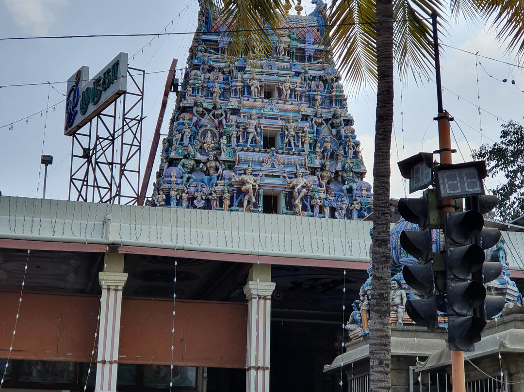 Thiru Avinankudi Temple景点图片