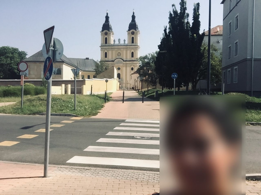 Assumption Cathedral景点图片