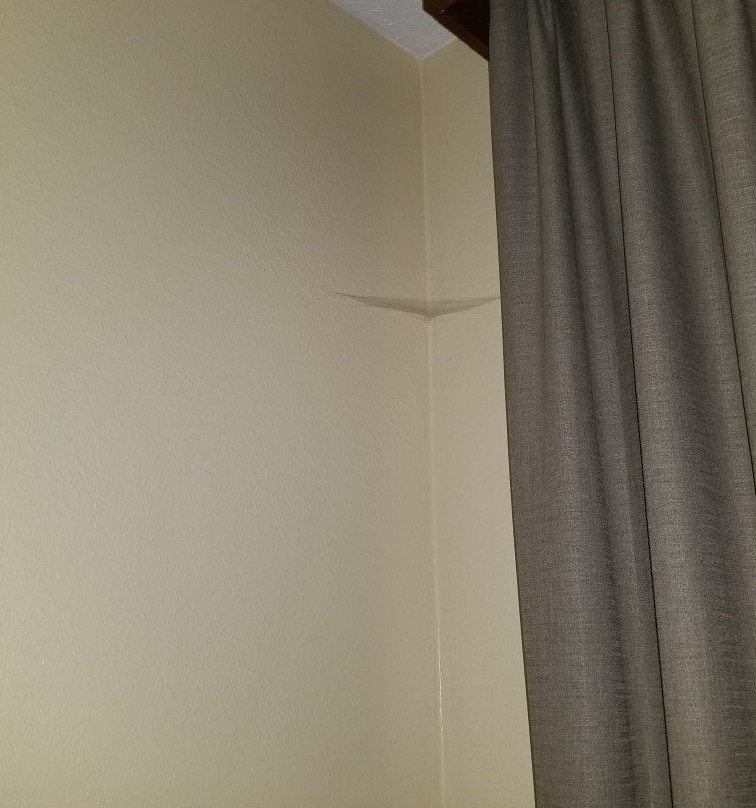 Best Western Kendallville Inn主图