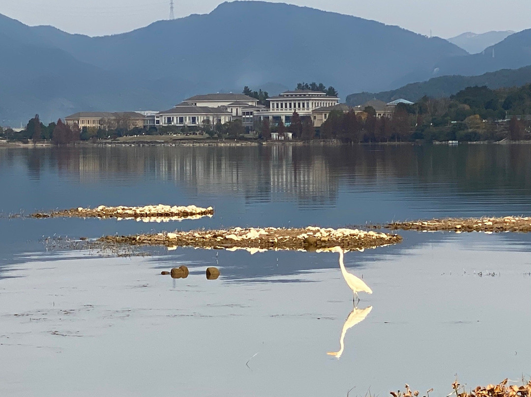 四明湖-余姚市必去景点
