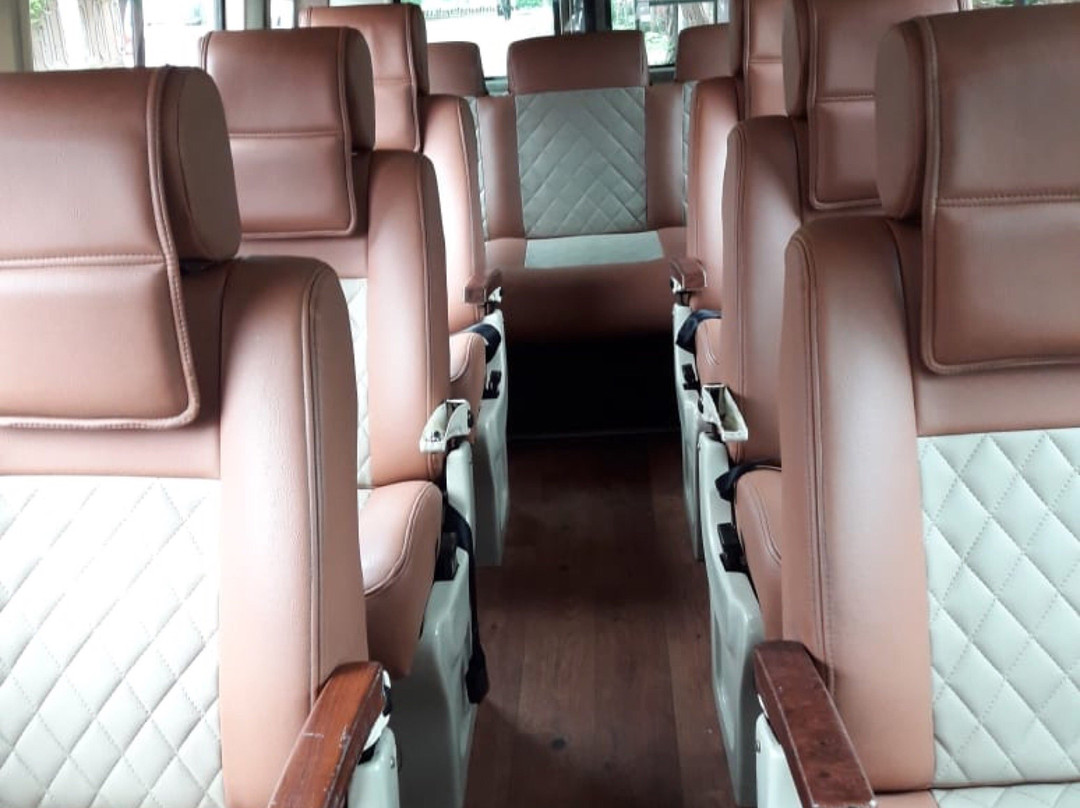 Tours India Cabs景点图片