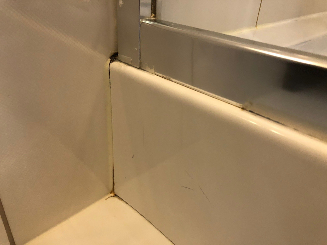 Hotel Trzebnica主图