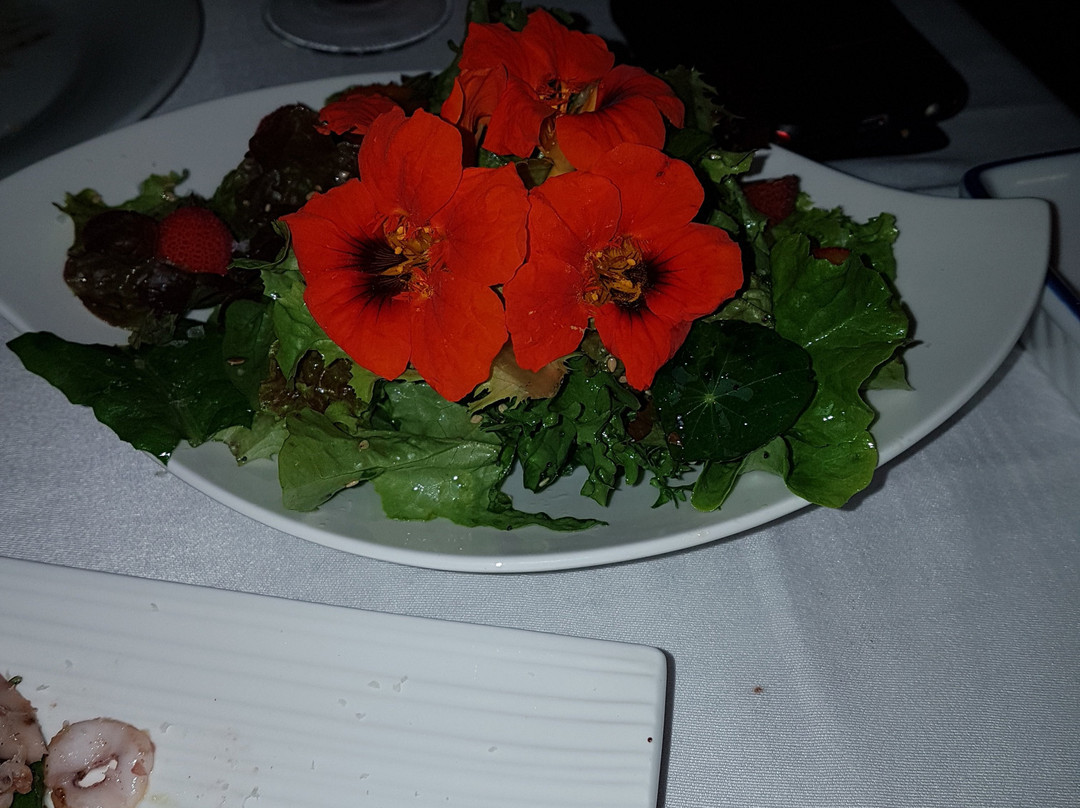 Algimia de Alfara旅游攻略图片