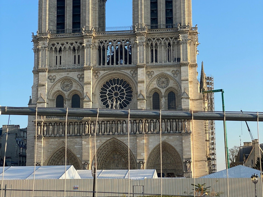 巴黎圣母院大教堂的塔楼景点图片