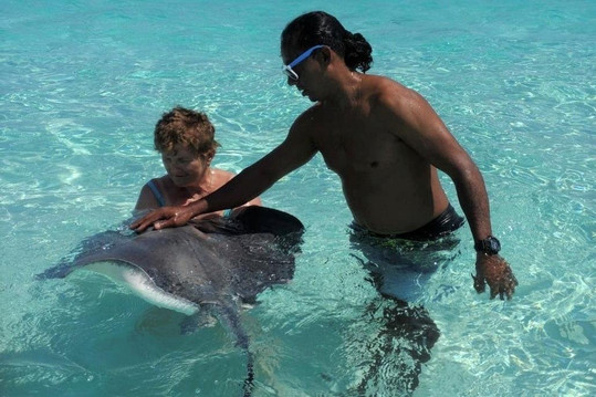 Cayman Boat Adventures