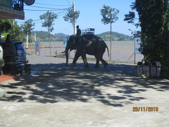 Lak Lake-Dak Lak Province必去景点