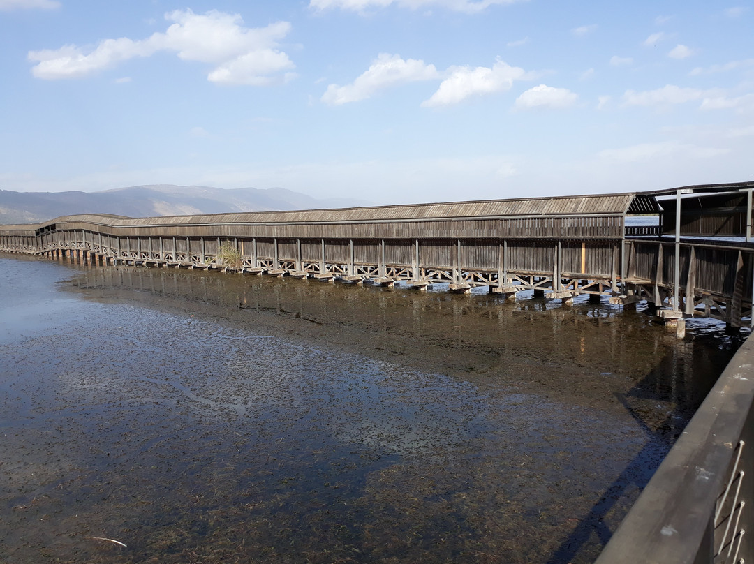 Hula Nature Reserve-加利利必去景点