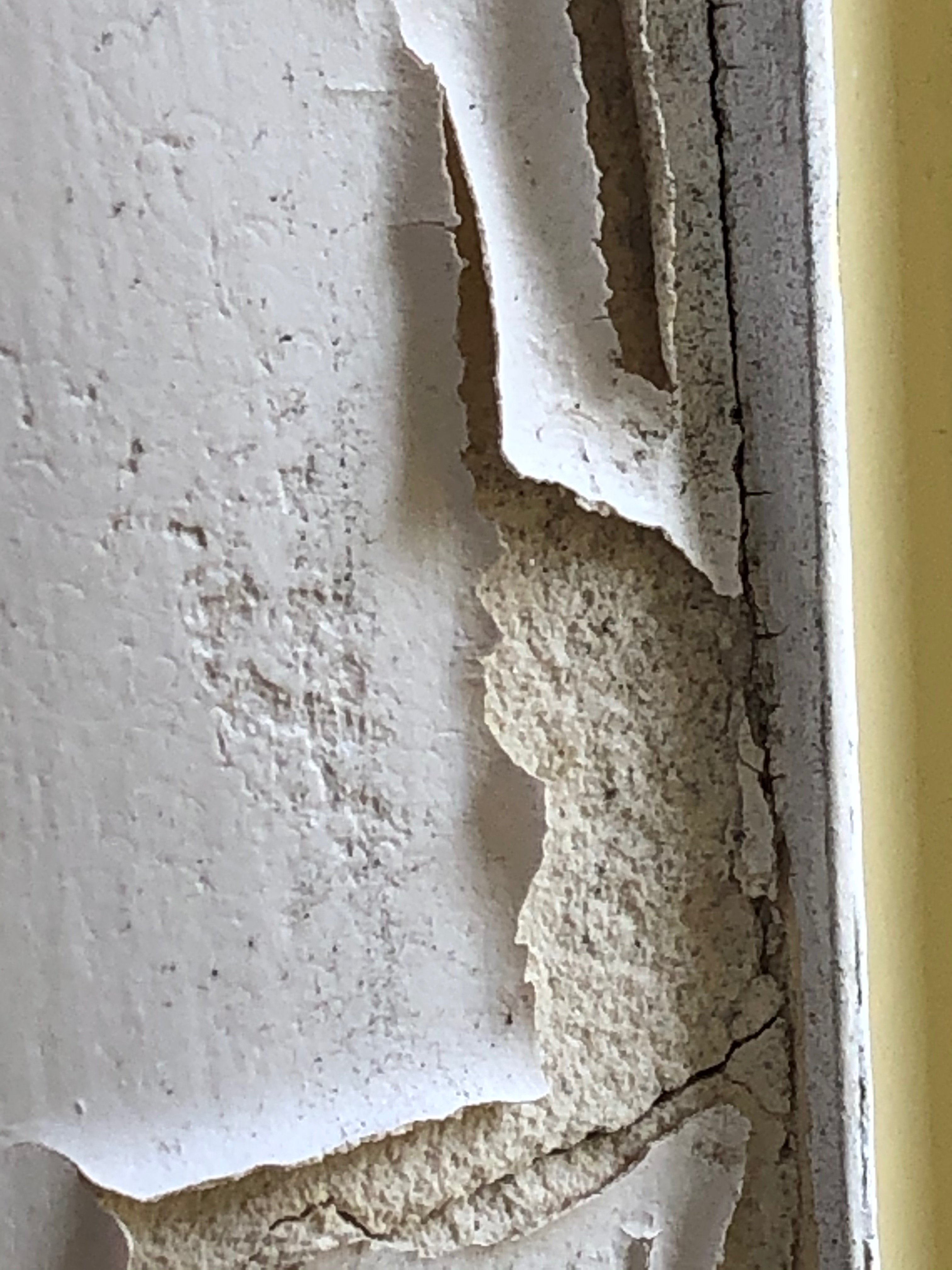 回声点汽车旅馆-portrait