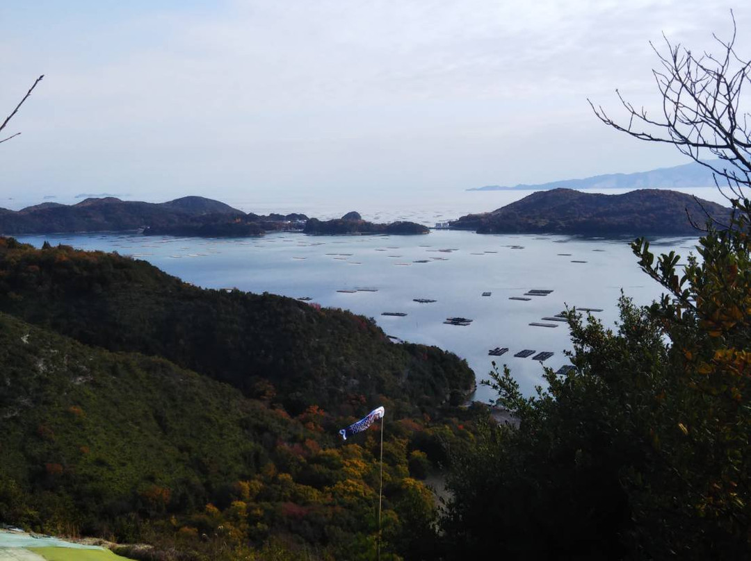 Harber-view Hilltop Park景点图片