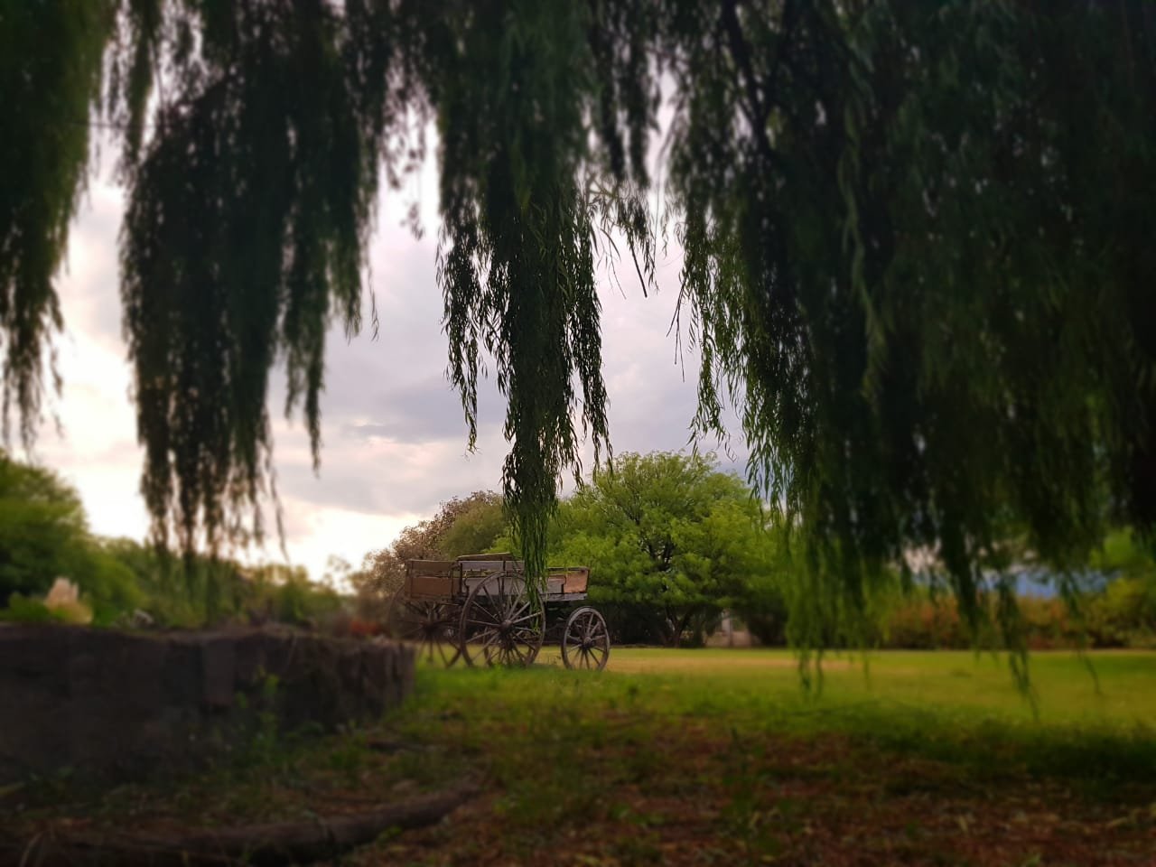 Posada del Olivo-家庭/游戏区