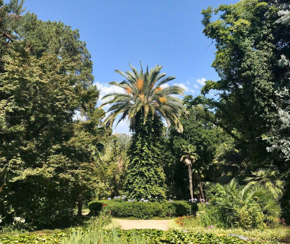 Sukhumi Botanical Garden-Sukhumi必去景点