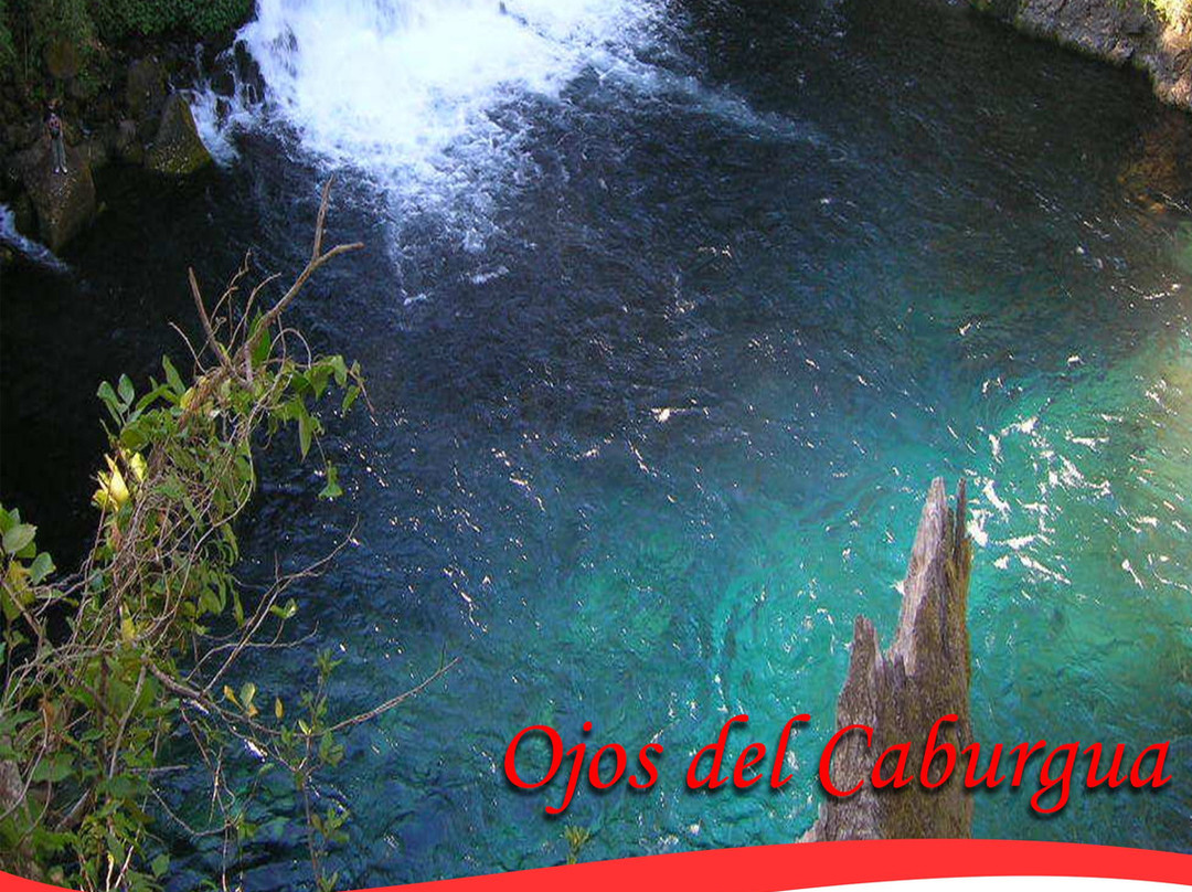 Parque Ojos del Caburgua-普孔必去景点