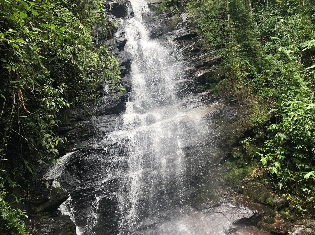 Bride's Veil Waterfall景点图片