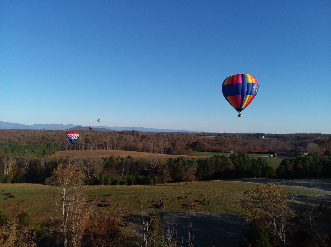 Blue Ridge Balloon-夏洛茨维尔必去景点