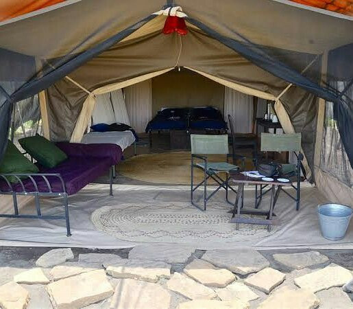 Mangokili Adventures-阿鲁沙必去景点