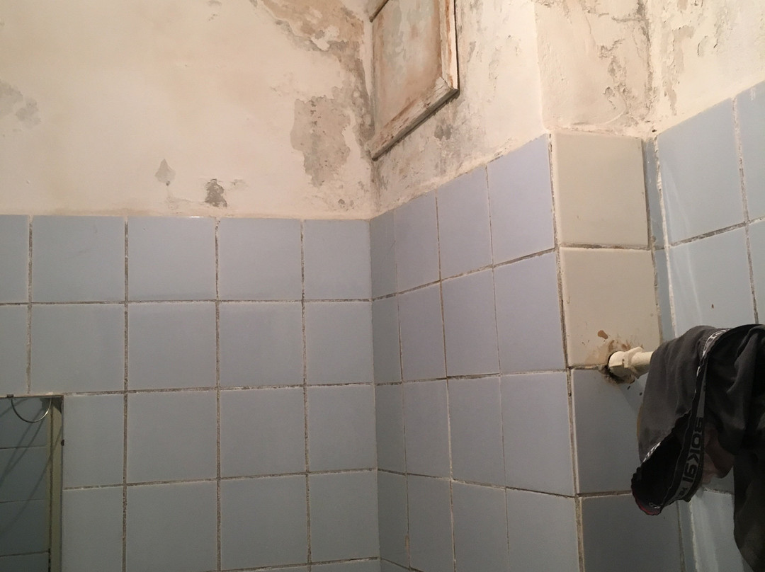 Gomel Hotel主图