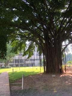 The Federal Palace Hotel主图