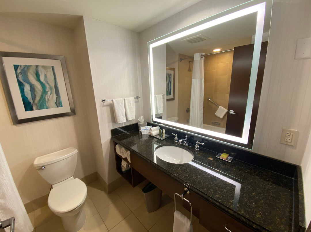 明尼阿波利斯/布卢明顿希尔顿酒店主图