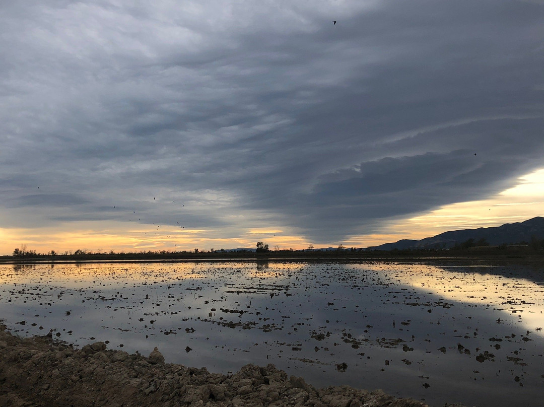 Parc Natural del Delta de l'Ebre-加泰罗尼亚必去景点