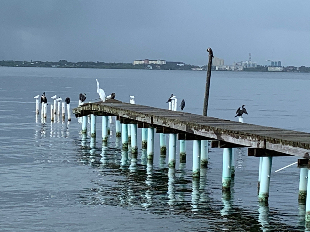 Melbourne Beach Pier景点图片