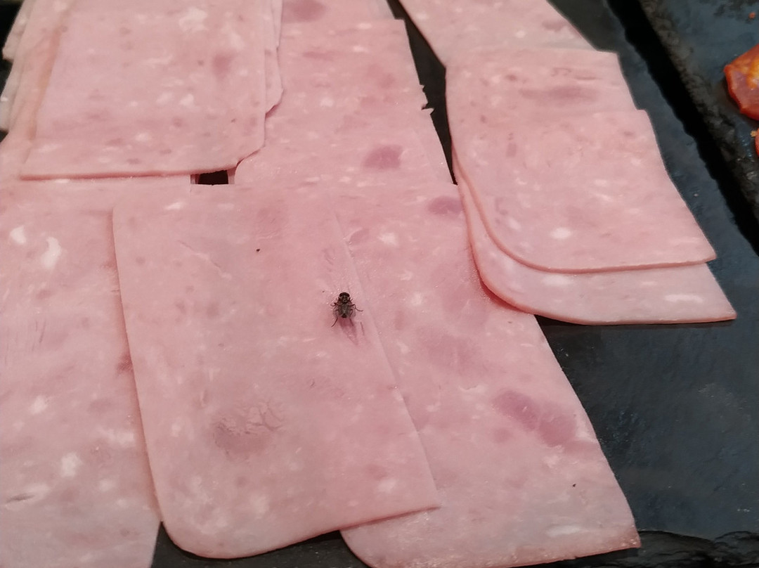 赫尔特村庄酒店主图