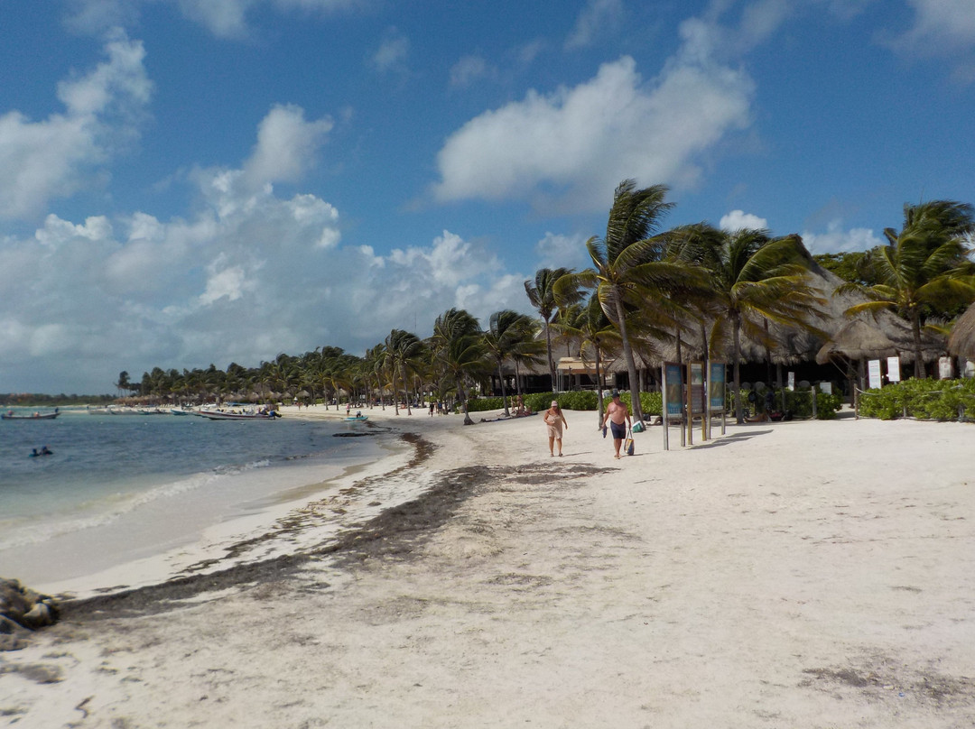 Akumal Bay-艾库玛尔必去景点