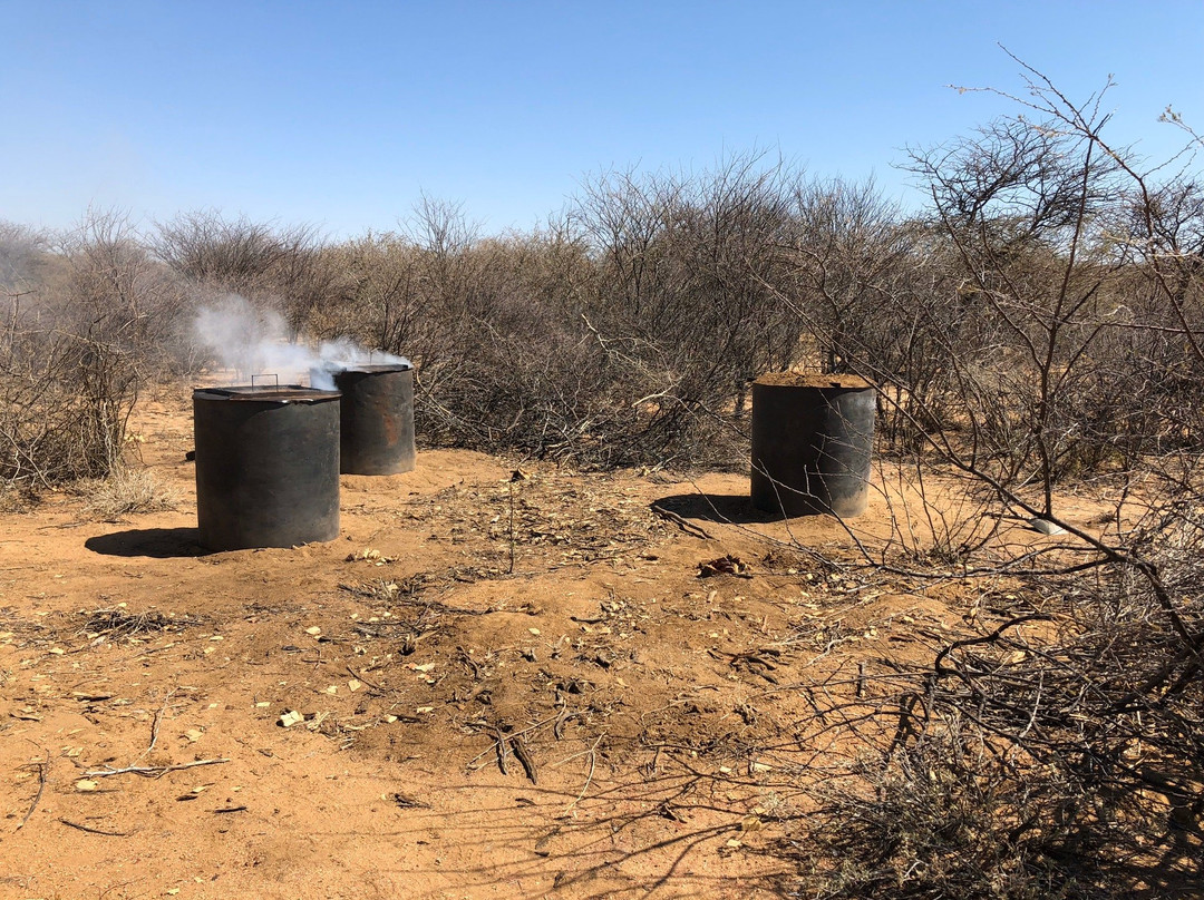 Haasenhof Guestfarm主图