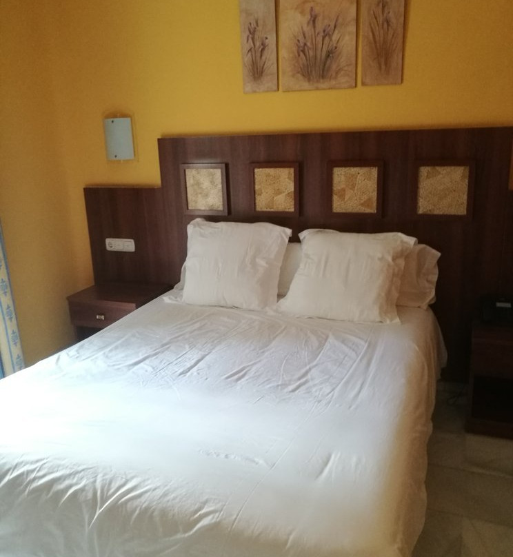 Hotel Nuevo Palas主图