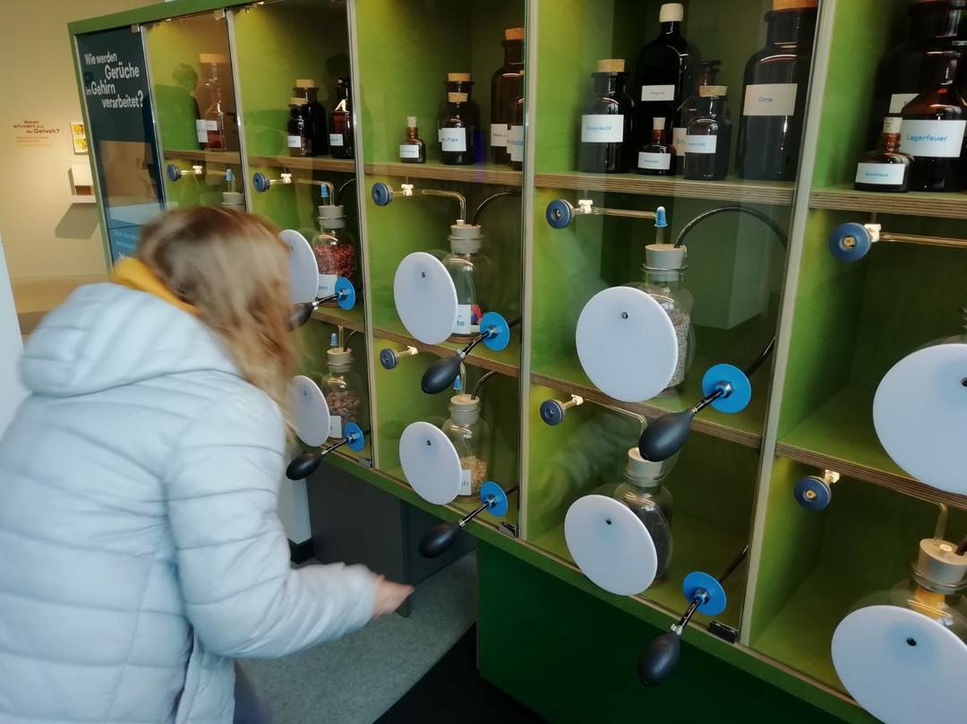 Deutsches Hygiene-Museum Dresden-德累斯顿必去景点